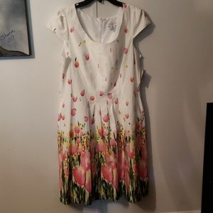 Nwt Liz Claiborne summer dress